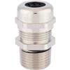 53112004 | SKINTOP MS-NPT 1/4''