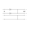 QUINT-DIODE/12-24DC/2X20/1X40