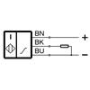 BAW M12MG2-IAC20B-BP03 (BAW001C)