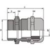 53112720 | SKINTOP MS-M 20x1,5 ATEX